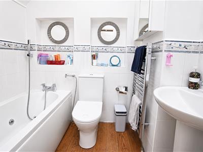 Picture 19